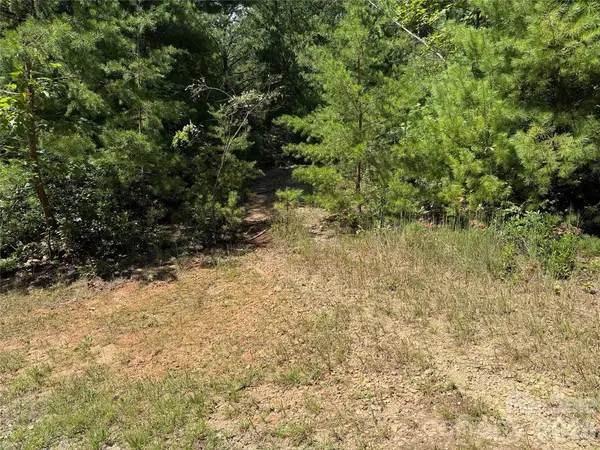 TBD Staghorn RD #163, Purlear, NC 28665