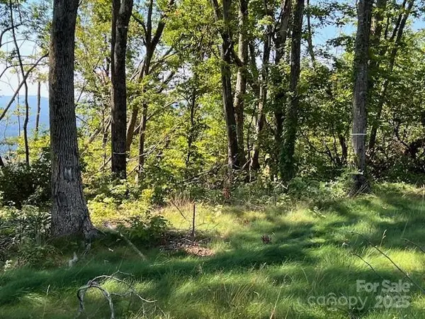 462 E Garden TRL #37, Hendersonville, NC 28792