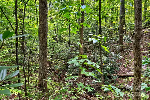 100 Comet Falls TRL #235, Black Mountain, NC 28711