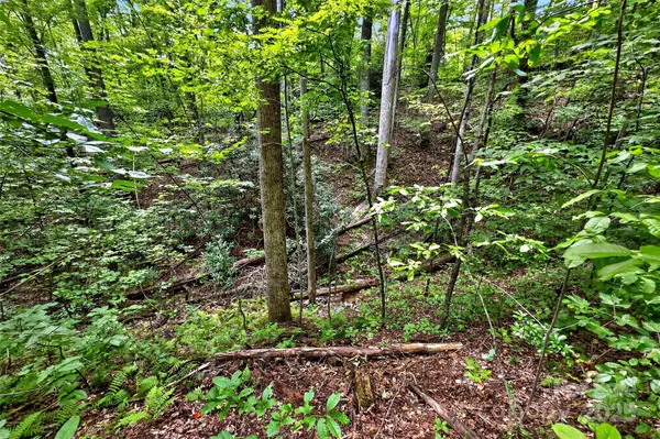 100 Comet Falls TRL #235, Black Mountain, NC 28711