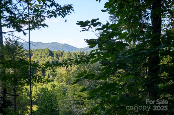 2340 Twin Poplars LN, Lenoir, NC 28645