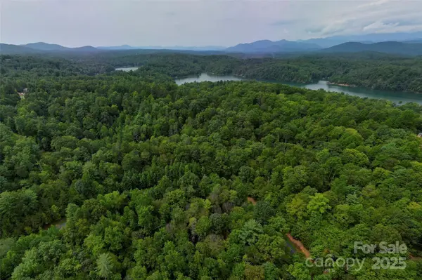 377 Harborside DR #245, Nebo, NC 28761