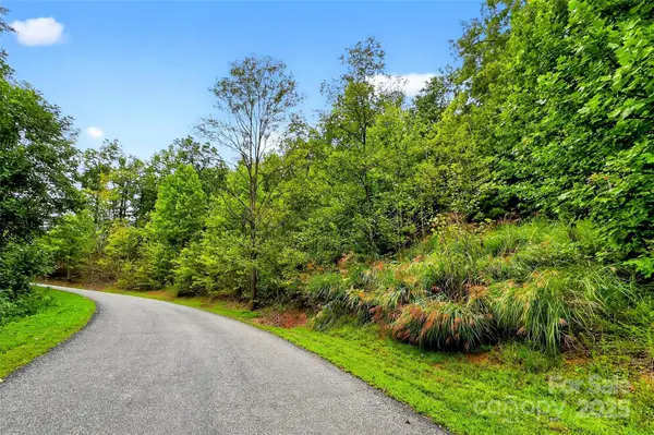 1696 Catawba Falls Pkwy #190, Black Mountain, NC 28711