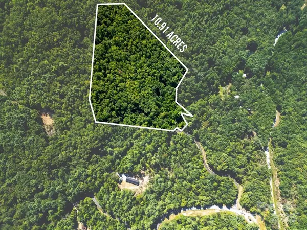 Lot 11 Silver Maple TRL, Brevard, NC 28712