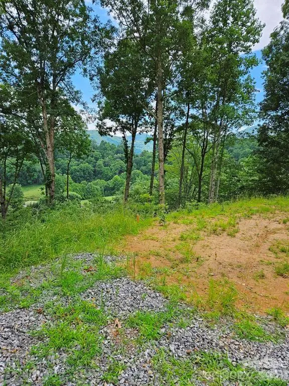 97 Junebug TRL, Waynesville, NC 28785
