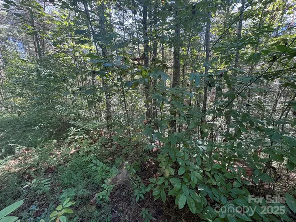 000 National Forest DR, Lenoir, NC 28645