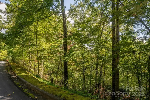 TBD Pine Mountain TRL #M79, Brevard, NC 28712