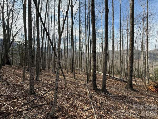 1029 Chippawa DR #67, Arden, NC 28704