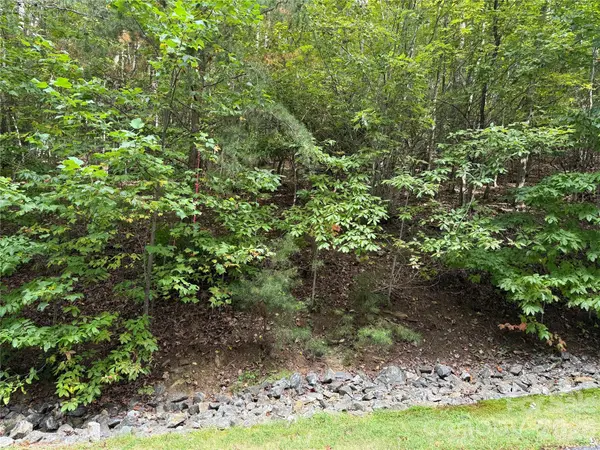 1029 Chippawa DR #67, Arden, NC 28704