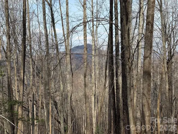 1029 Chippawa DR #67, Arden, NC 28704