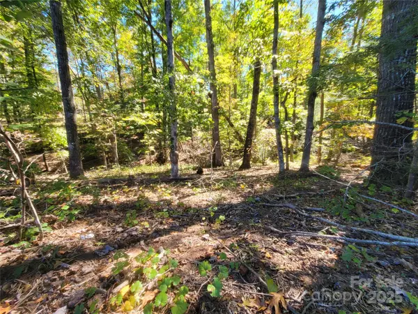0 Horse Creek DR #14, Mill Spring, NC 28756