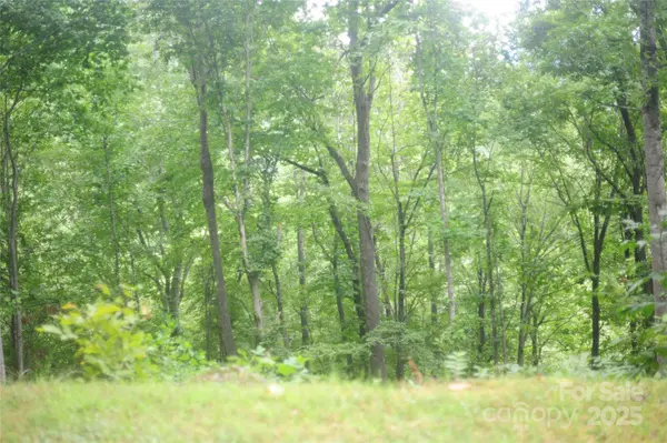 9 Wood Haven LN #108, Black Mountain, NC 28711