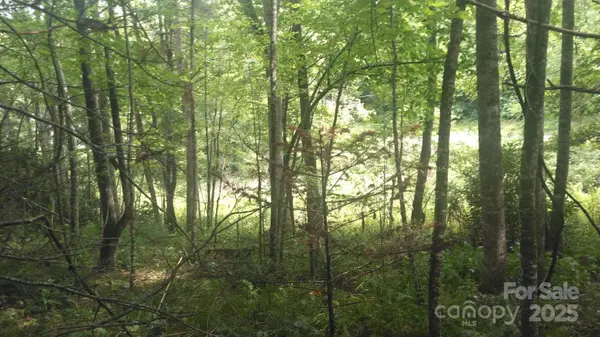 7360 NC 183 HWY, Newland, NC 28657