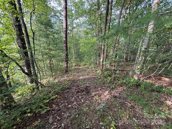 Lot 7 Madison LN, Robbinsville, NC 28771