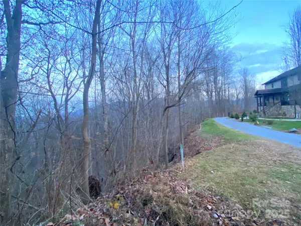 0 Asa TRL, Waynesville, NC 28785