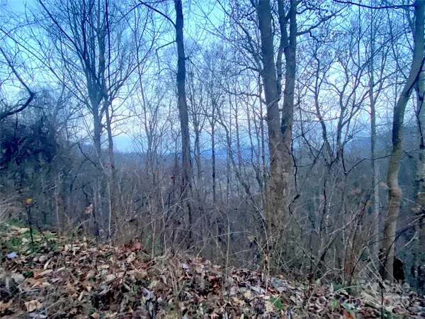 0 Asa TRL, Waynesville, NC 28785