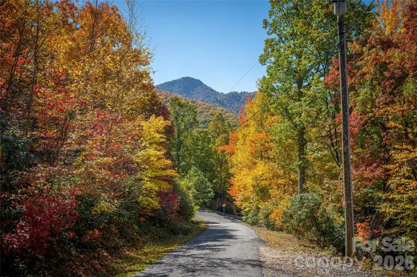 205 Chickadee LN #205, Maggie Valley, NC 28751