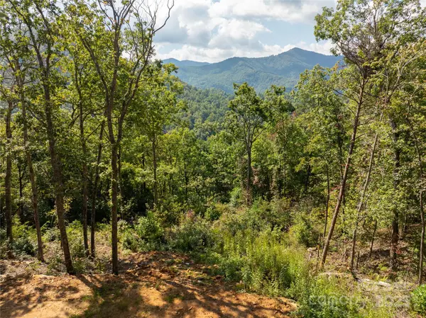 8888 Cedar Creek Farm RD, Tuckasegee, NC 28783