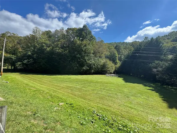 00 Puncheon Fork RD, Mars Hill, NC 28754