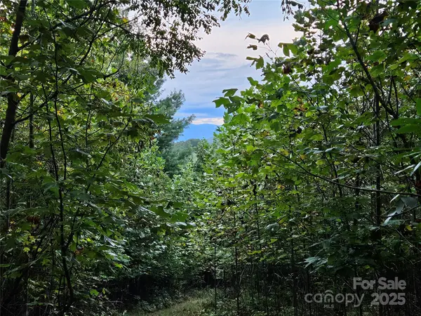 000 Double Island RD, Green Mountain, NC 28740