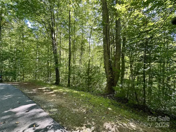 00 Loblolly WAY #C11, Maggie Valley, NC 28751