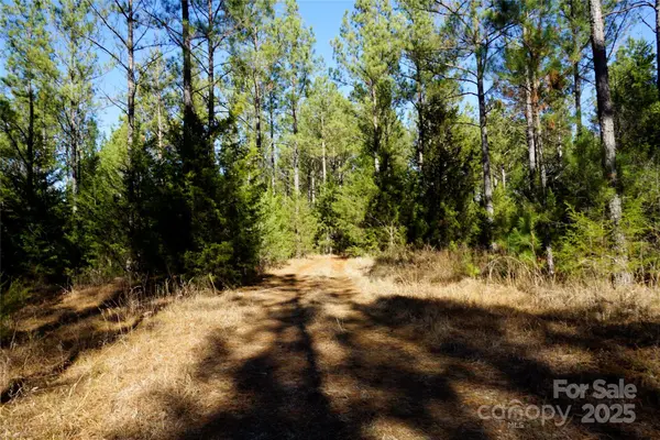 6+/- AC LOT 2 Skyline DR, Chester, SC 29706