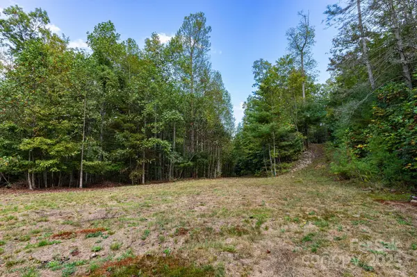 999 NC 209 HWY #9, Hot Springs, NC 28743