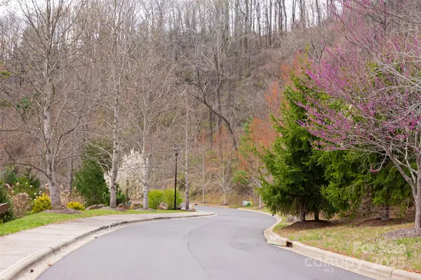 12 Grovepoint WAY, Asheville, NC 28804