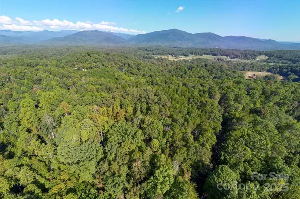 719 & 899 Mchone DR, Old Fort, NC 28762