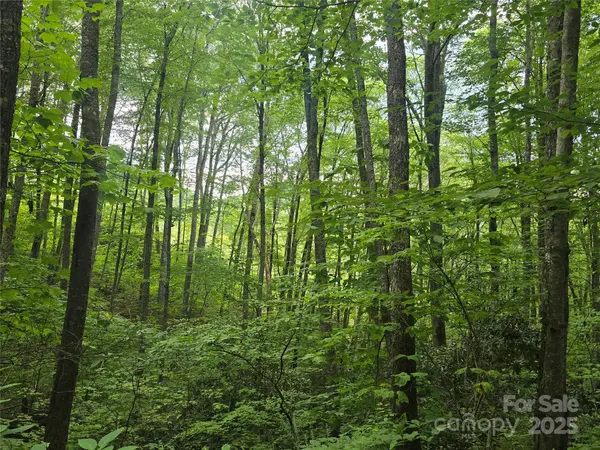 Lt 7 Buck Knob None, Cullowhee, NC 28723