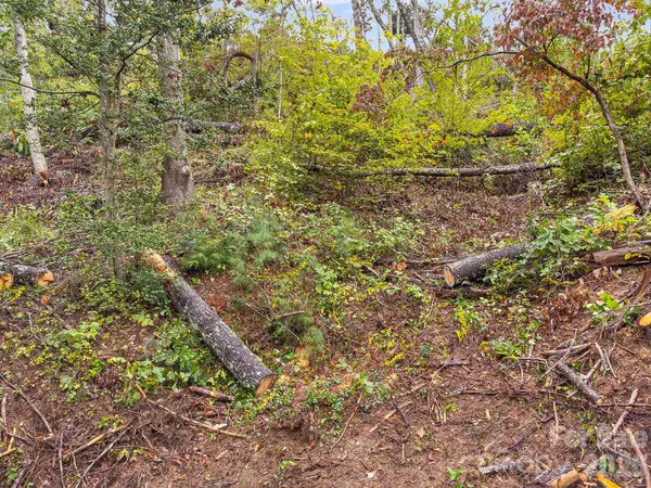 99999 Beaverbrook RD #2, Asheville, NC 28804