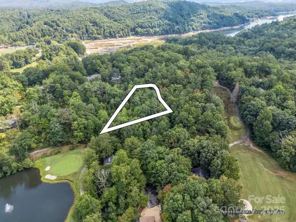 36 Bee Tree Point CT, Lake Lure, NC 28746