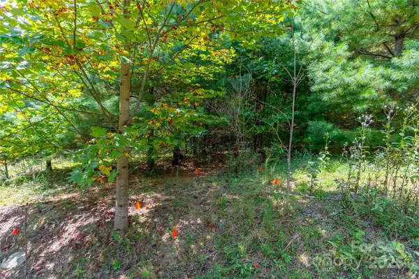 1043 Somersby Pkwy, Hendersonville, NC 28739