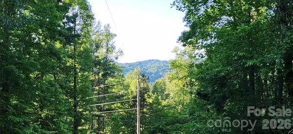 0 Buffalo Creek RD #74, Lake Lure, NC 28746