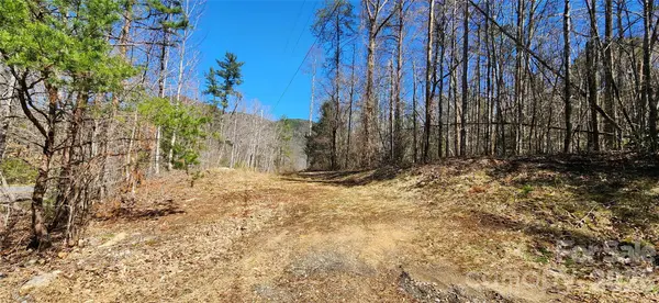 0 Buffalo Creek RD #74, Lake Lure, NC 28746