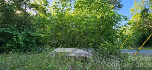 0 Buffalo Creek RD #74, Lake Lure, NC 28746