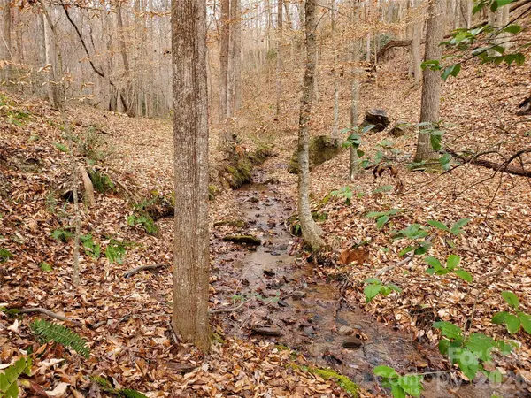 366 Boland DR, Lake Lure, NC 28746