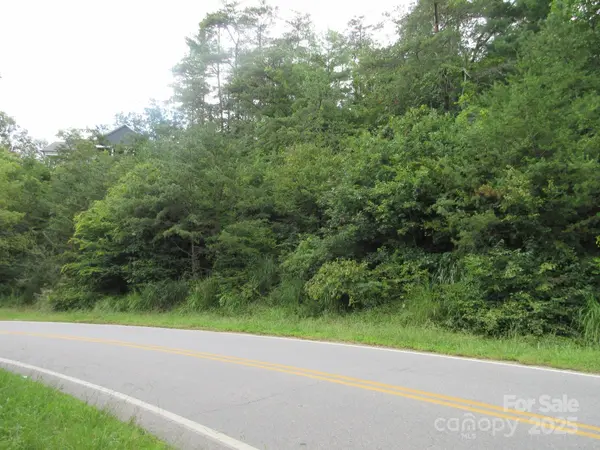 0 Old Burnsville RD, Weaverville, NC 28787