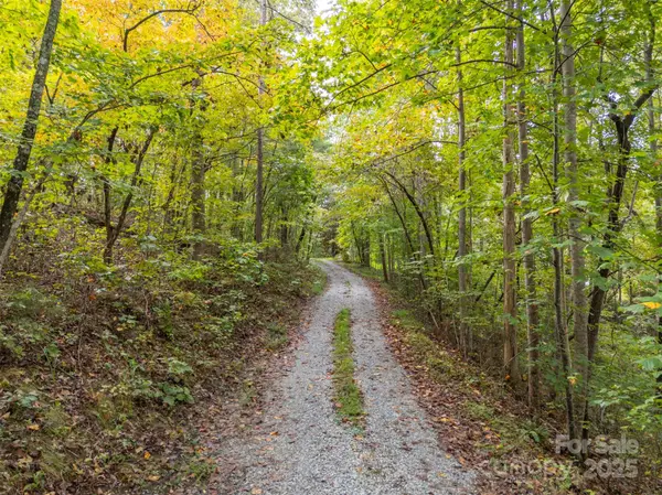 167 Balfour DR, Rutherfordton, NC 28139