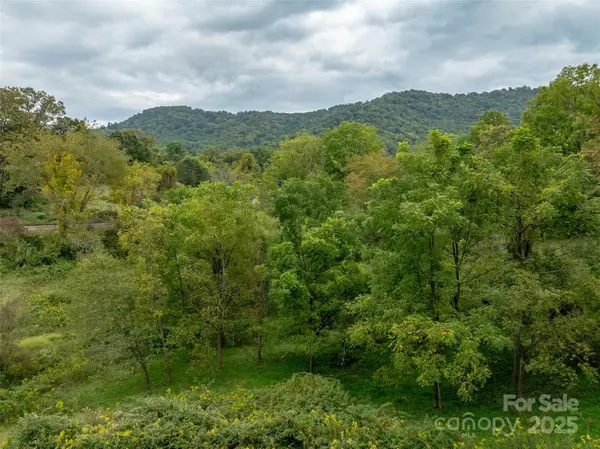 99999 Old Clyde RD, Canton, NC 28716