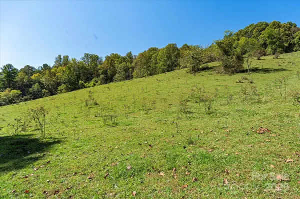 1623 Ammons Branch RD, Marshall, NC 28753