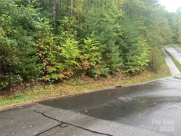 208 Settings BLVD #248, Black Mountain, NC 28711