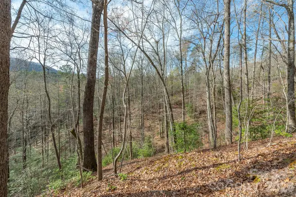 99999 Trillium LN #7, Lake Lure, NC 28746