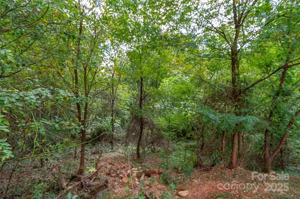 0 Majestic Mountain DR #11, Burnsville, NC 28714