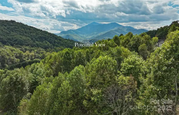 0 Majestic Mountain DR #11, Burnsville, NC 28714