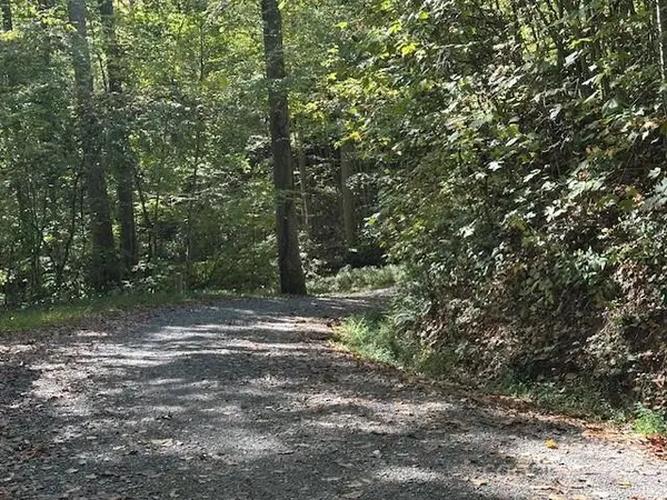 H16-H17 Shady Grove RD, Tuckasegee, NC 28783