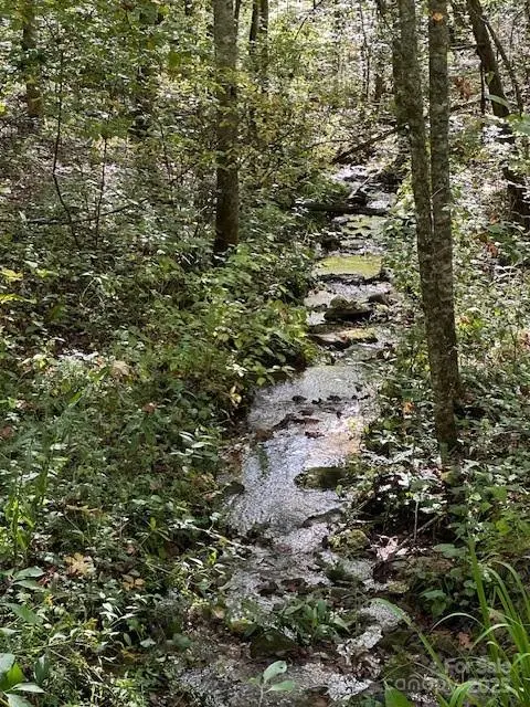 H16-H17 Shady Grove RD, Tuckasegee, NC 28783