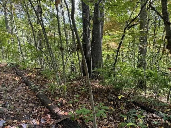 H16-H17 Shady Grove RD, Tuckasegee, NC 28783