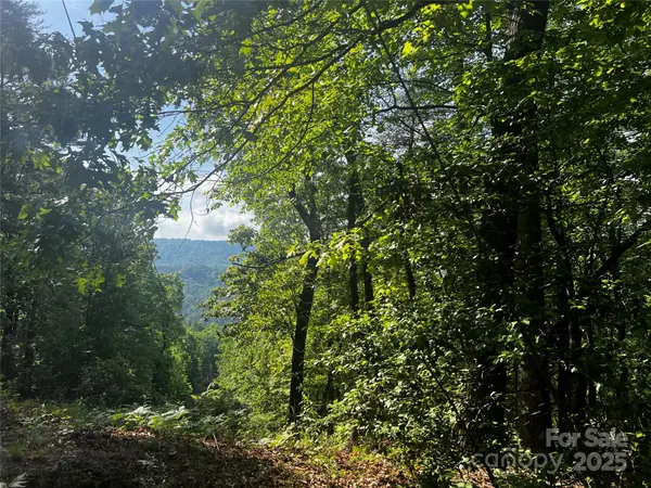 Lot 14R Arrowhead RDG #14 Revised, Brevard, NC 28712