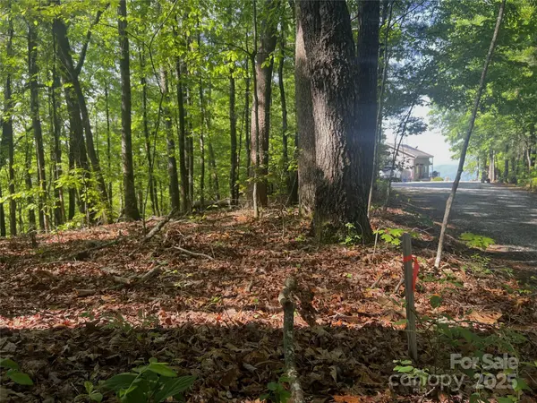 Lot 14R Arrowhead RDG #14 Revised, Brevard, NC 28712